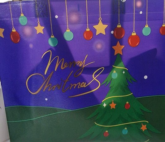 1 Christmas Gift Bag (11*12.5") - NB Store