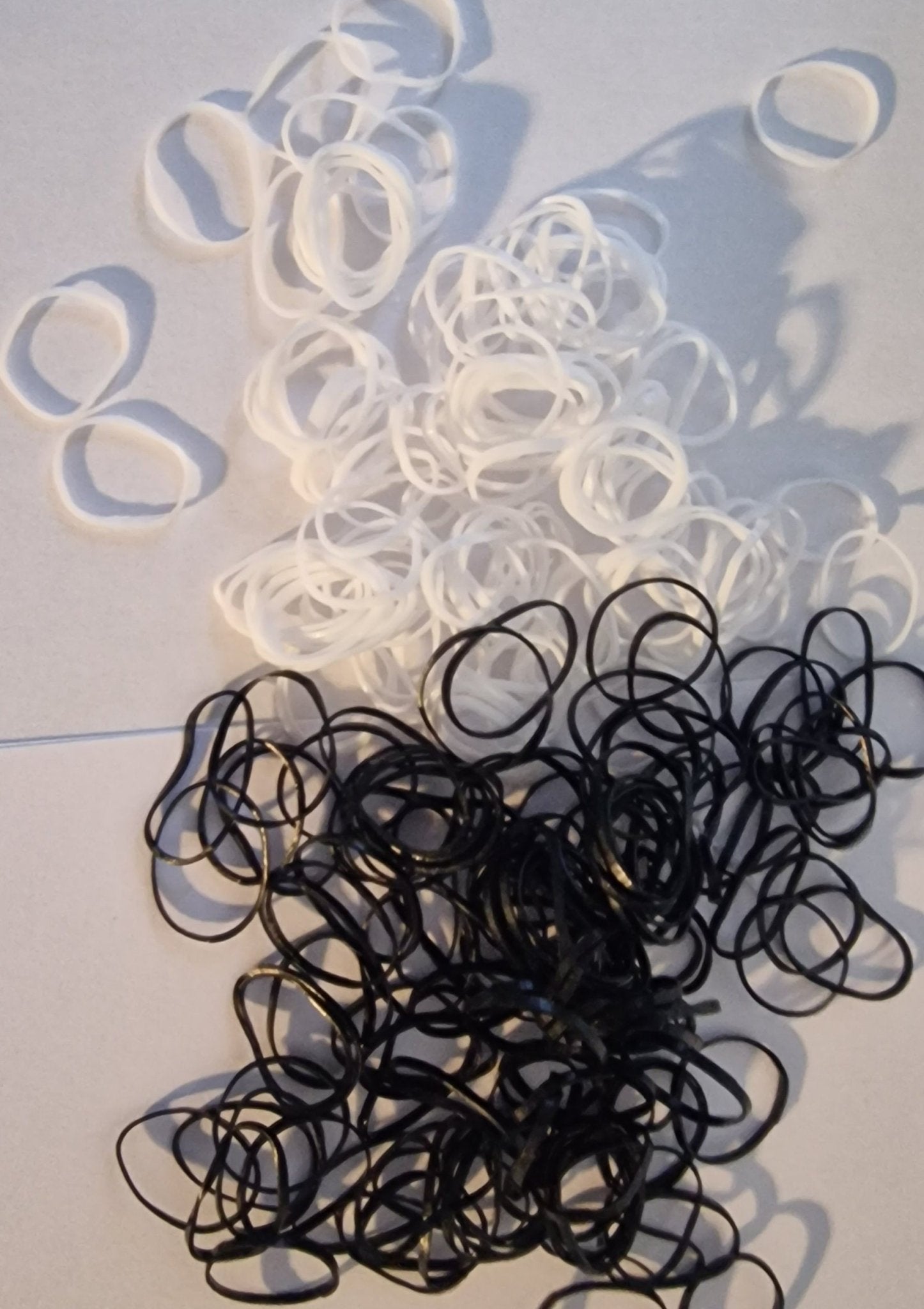 1000 - Pack Disposable Hair Ties with Storage Bag White - NB Store