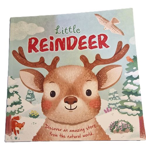 Little Reindeer Book - NB Store