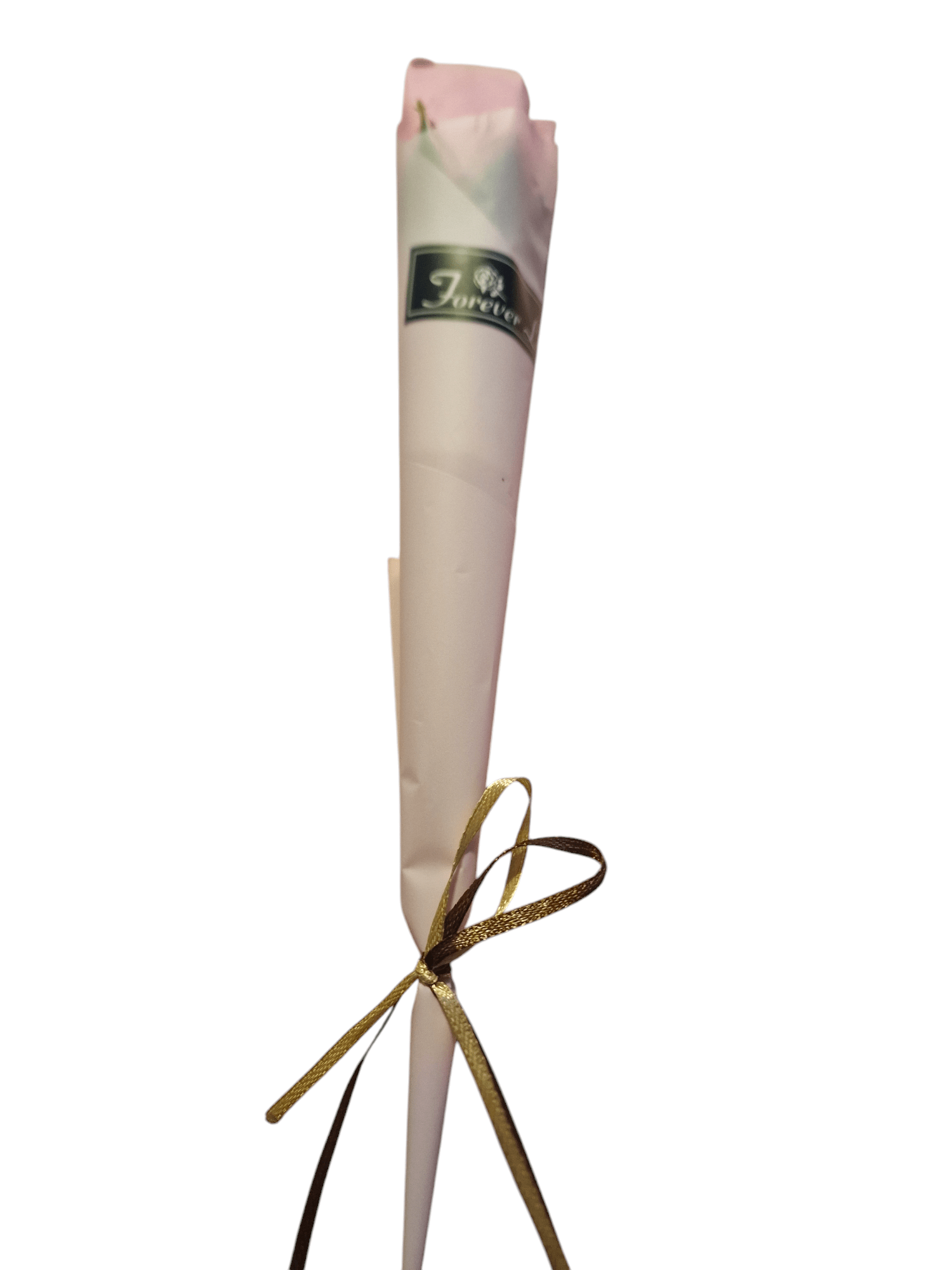 Rose in Unique Packet Red - NB Store