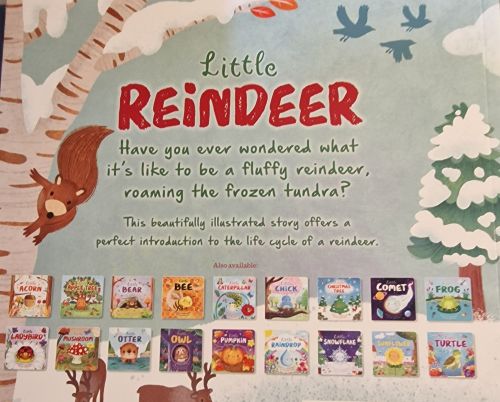 Little Reindeer Book - NB Store